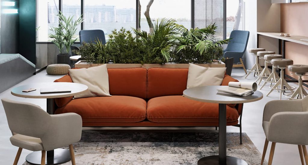 Plants for the office - which ones to choose?