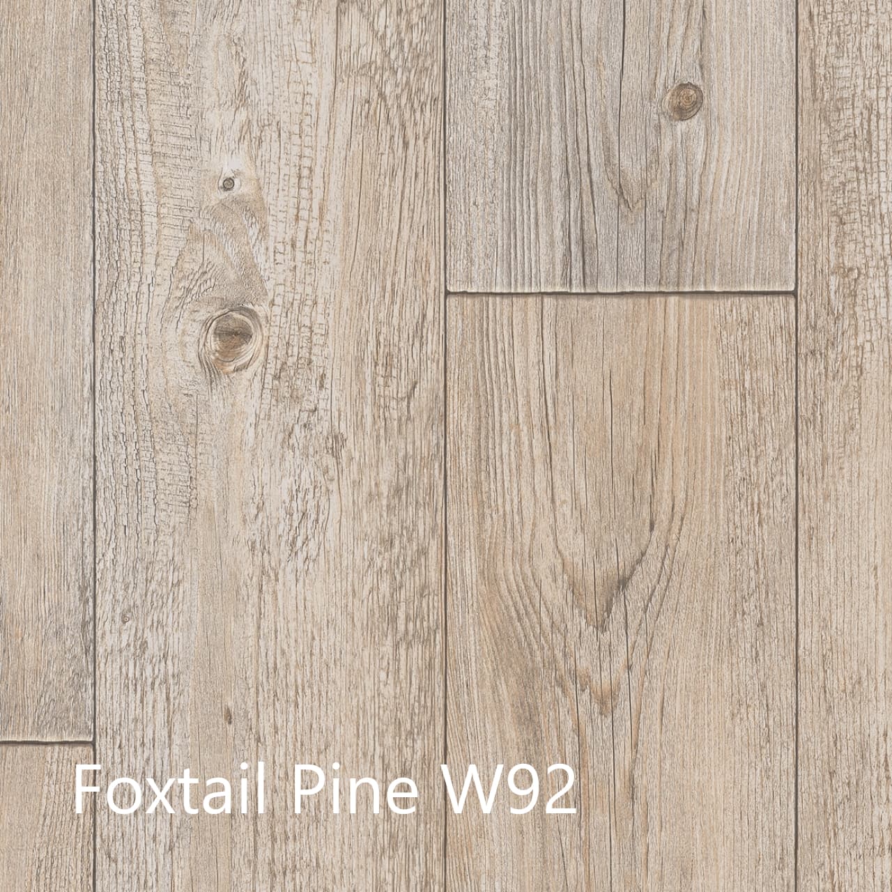 Heterogeneous Vinyl Foxtail Pine — 2